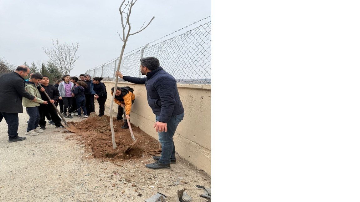 Okulumuzu Ağaçlandırma Etkinliğimiz